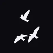 Mirrorize logo