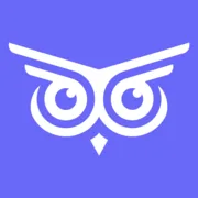 Brandwise logo
