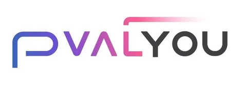 Preview of Pvalyou