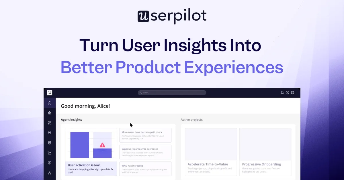 Preview of Userpilot