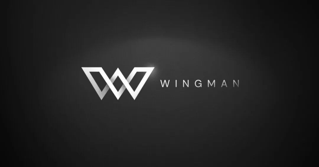Preview of Wingman