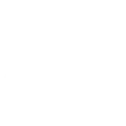 GooseAI logo