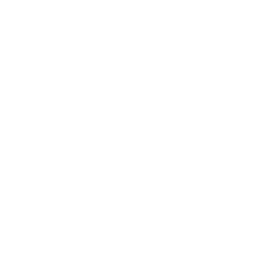 cvnow.ai logo