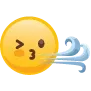 Windyflo logo