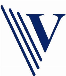 Verbalyze logo