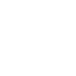 Nouswise logo