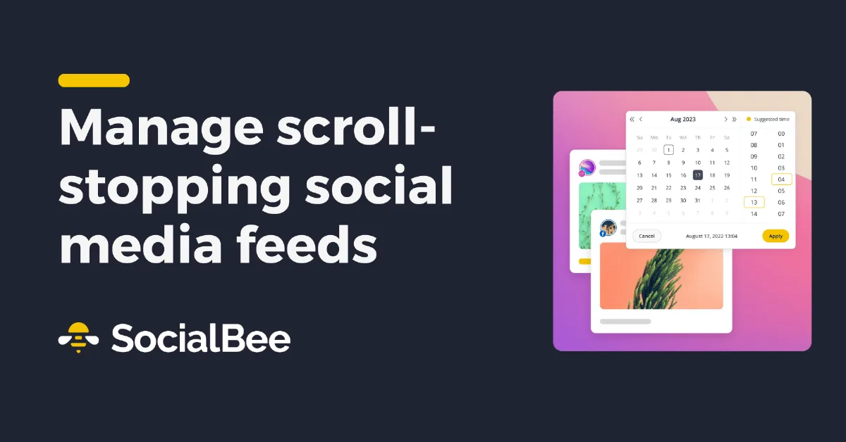 Preview of SocialBee