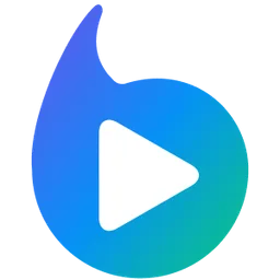 Braiv logo