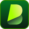 Videotranslator logo