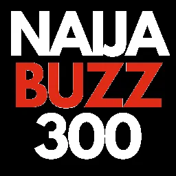 NaijaBuzz300 logo