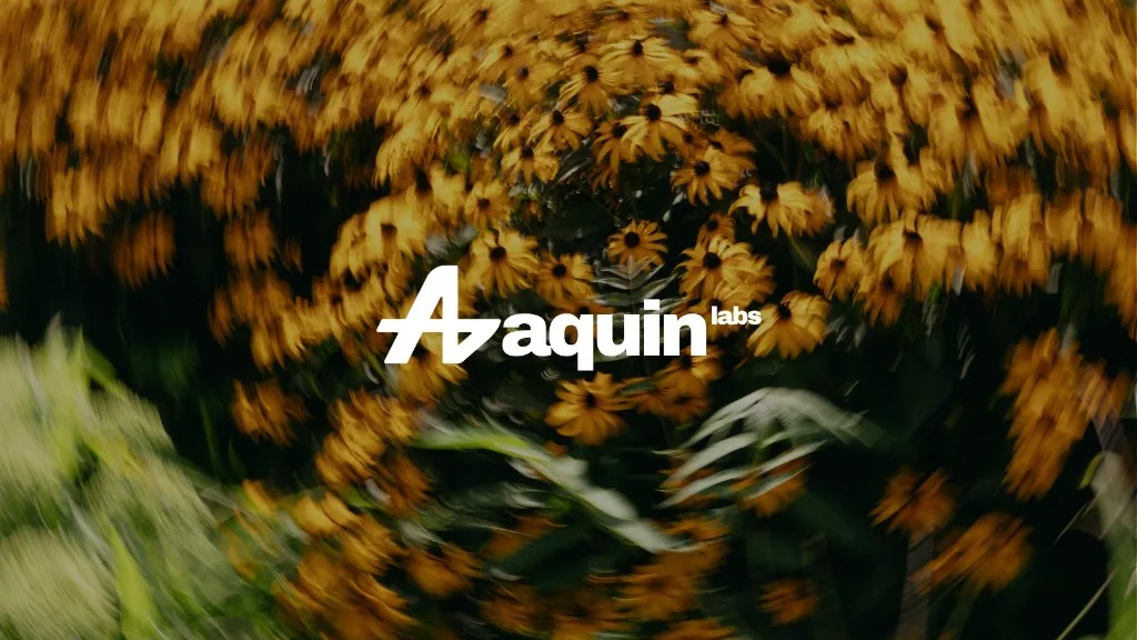 Preview of Aquin Labs