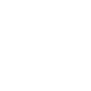 Verve AI logo