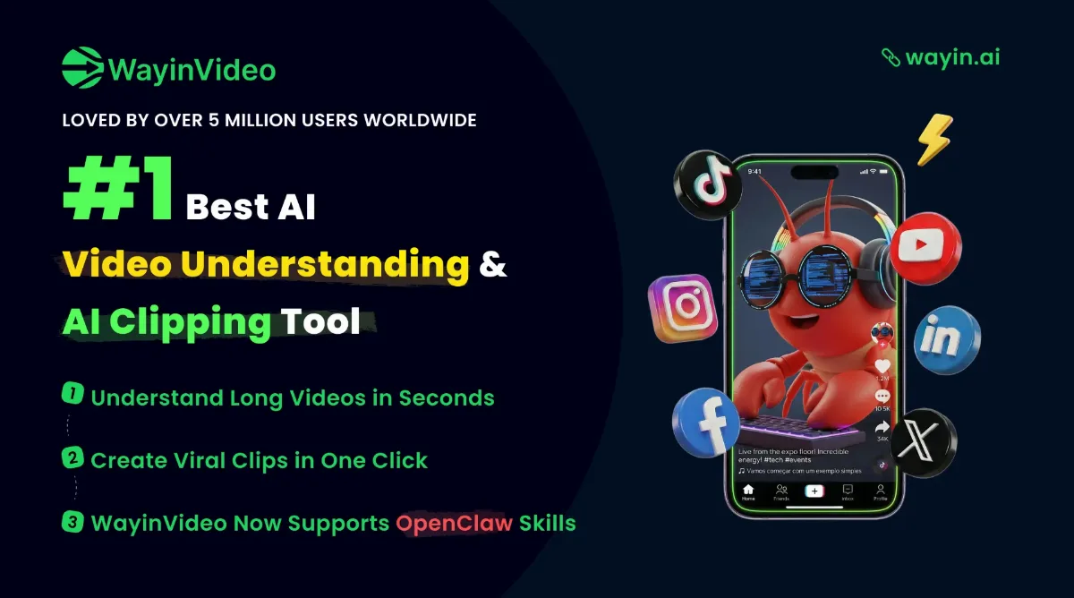 Preview of WayinVideo