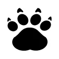 Cheeta logo