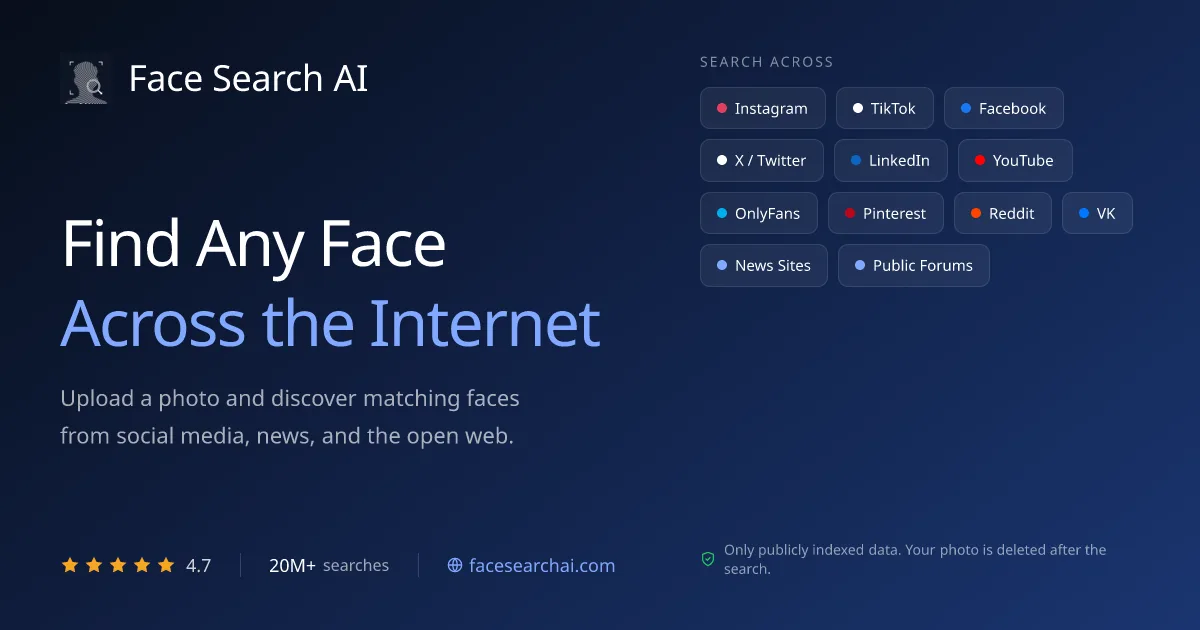 Preview of Face Search AI