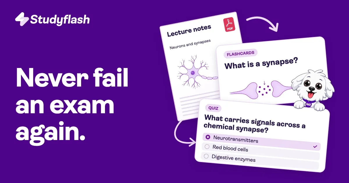 Preview of Studyflash